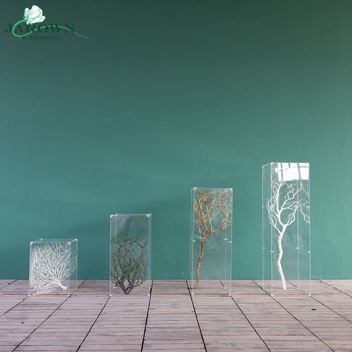 Acrylic Clear Cuboid Pro Stand