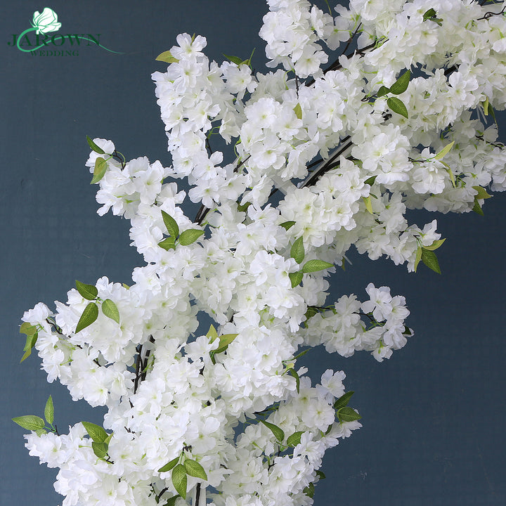 Serendipity(XLIV)-Cherry Blossoms
