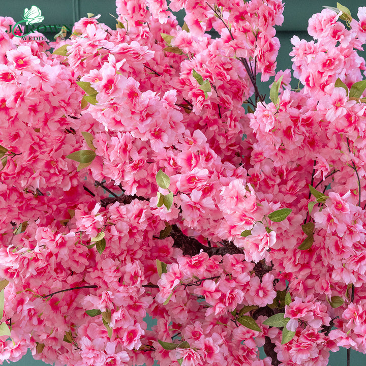 Destiny(XLVI)-Cherry Blossoms