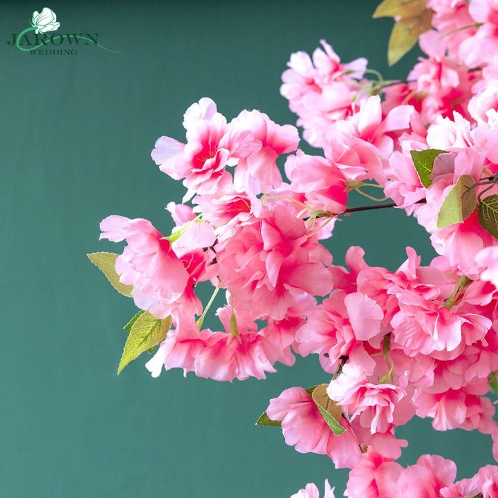 Destiny(XLVI)-Cherry Blossoms