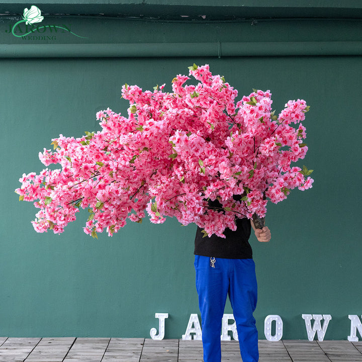 Destiny(XLVI)-Cherry Blossoms