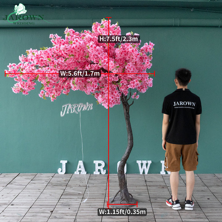 Destiny(XLVI)-Cherry Blossoms