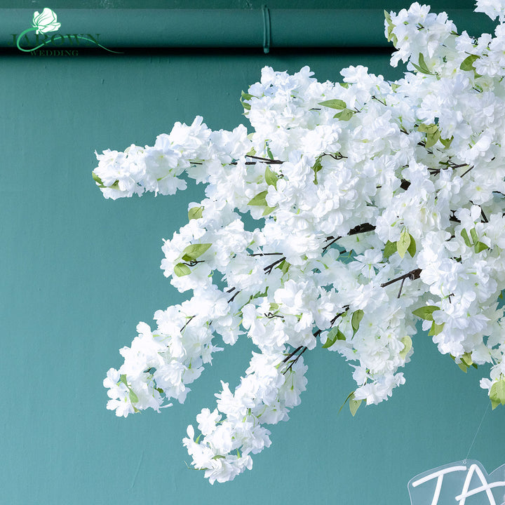 Serendipity(LIII)-Cherry Blossoms